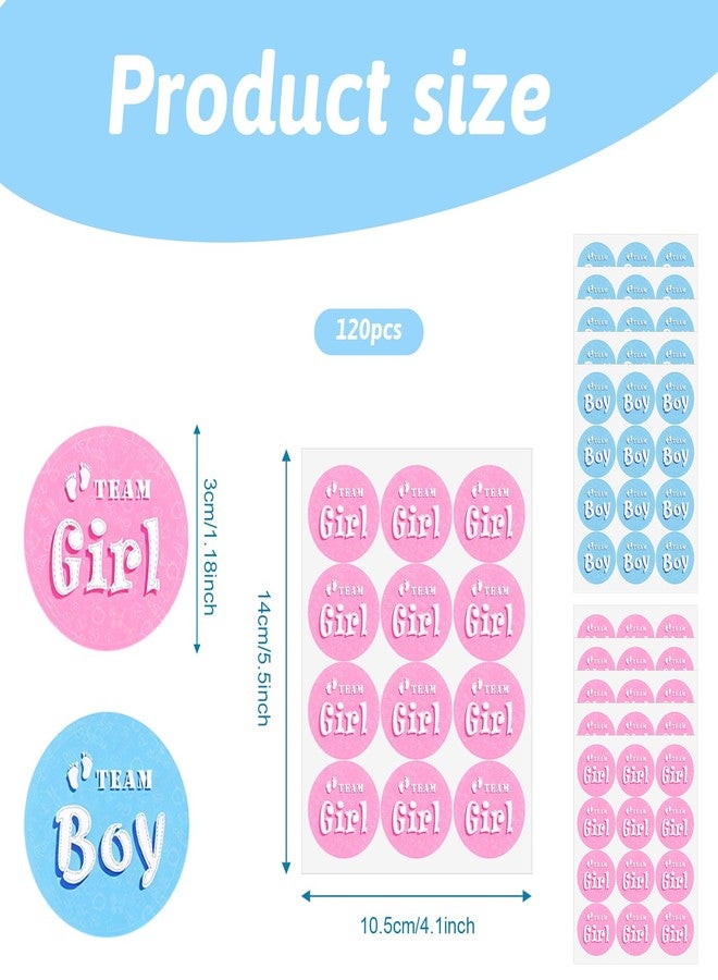 Styquenzer Team Boy or Girl Gender Reveal Stickers,120 PCS Pink and Blue Gender Stickers Self-Adhesive Team Boy or Girl Baby Shower Sticker Round Gender-Reveal Party Game Plates Decorations for Baby Shower Party - Image 2